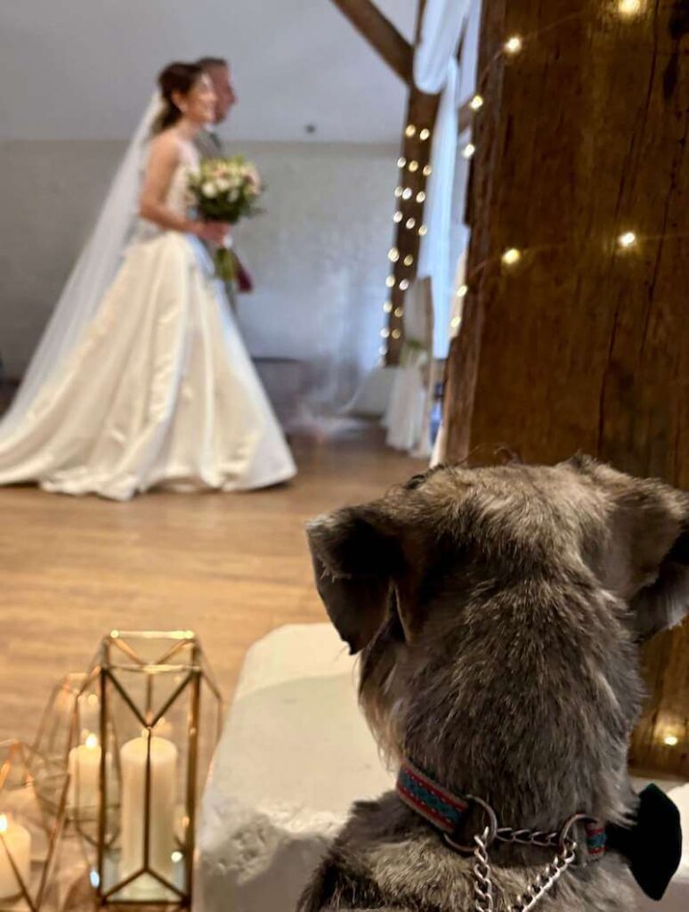 Go pro camera of Dogs eye view at your wedding